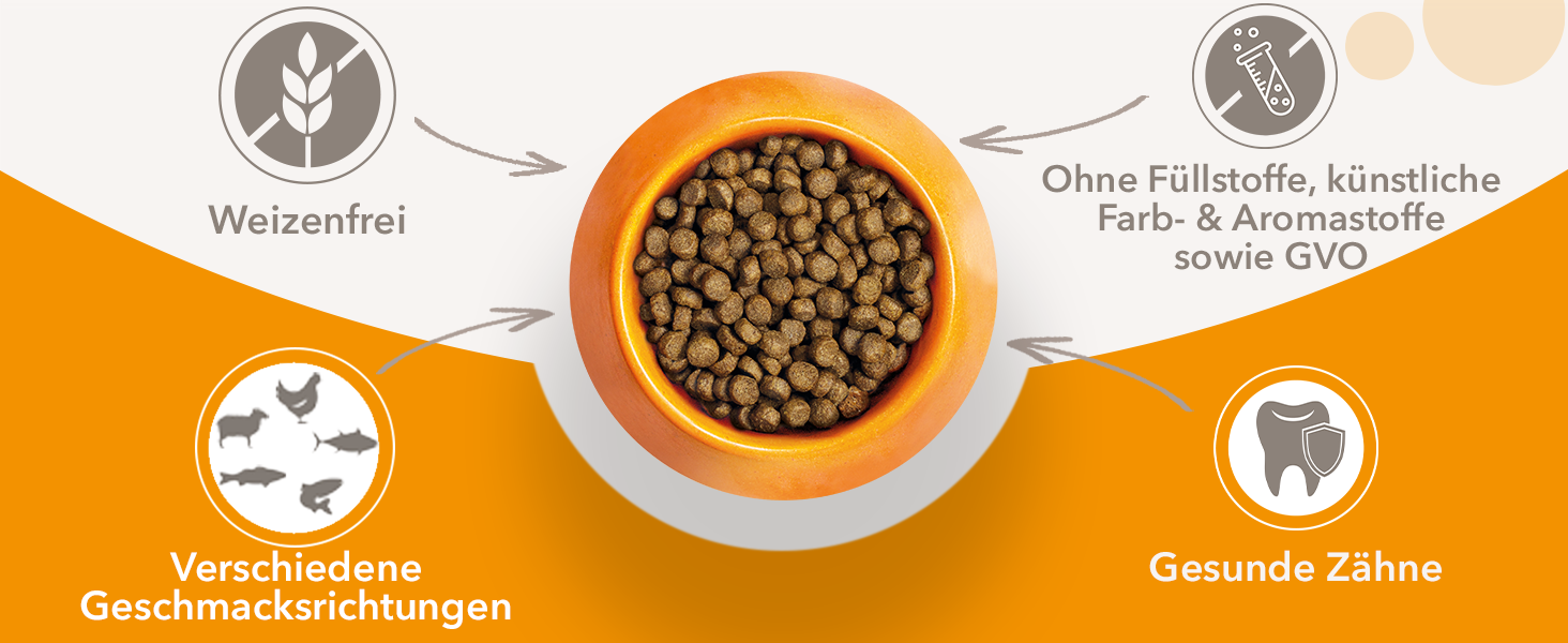 IAMS Katzenfutter trocken mit Huhn - Trockenfutter für Katzen im Alter von 1-6 Jahren, 3 kg iams katzenfutter trocken mit huhn trockenfutter für katzen im alter von 1 6 jahren, 3 kg