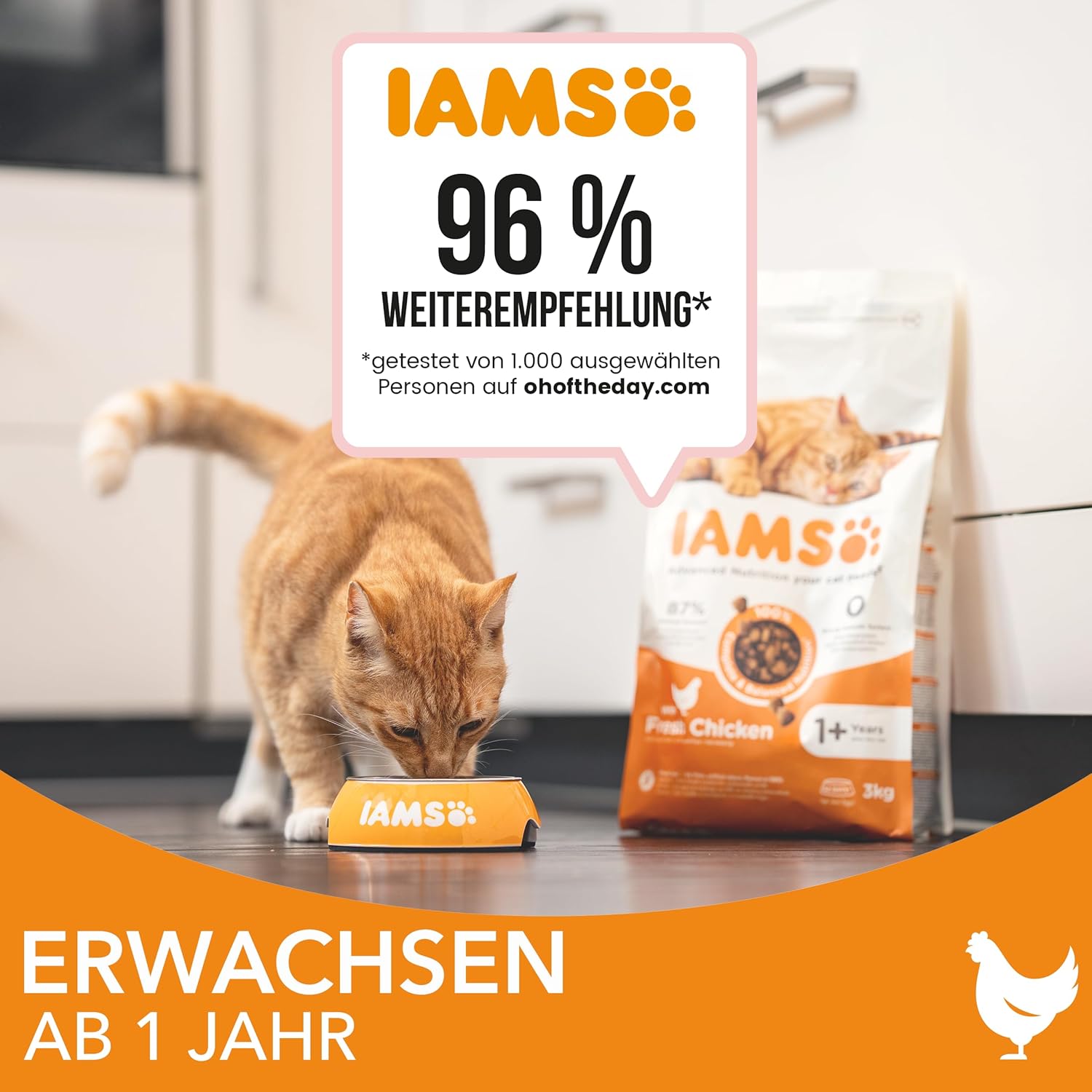 iams katzenfutter trocken mit huhn trockenfutter für katzen im alter von 1 6 jahren, 3 kg iams katzenfutter trocken mit huhn trockenfutter für katzen im alter von 1 6 jahren, 3 kg