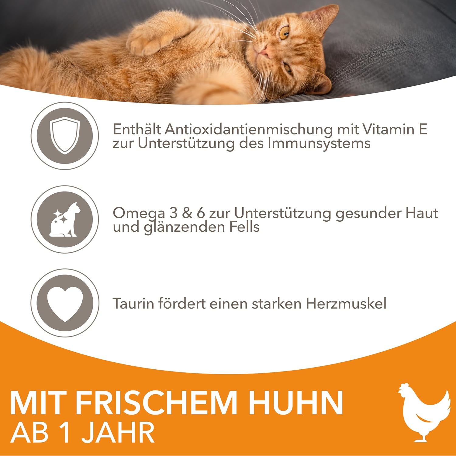 iams katzenfutter trocken mit huhn trockenfutter für katzen im alter von 1 6 jahren, 3 kg iams katzenfutter trocken mit huhn trockenfutter für katzen im alter von 1 6 jahren, 3 kg