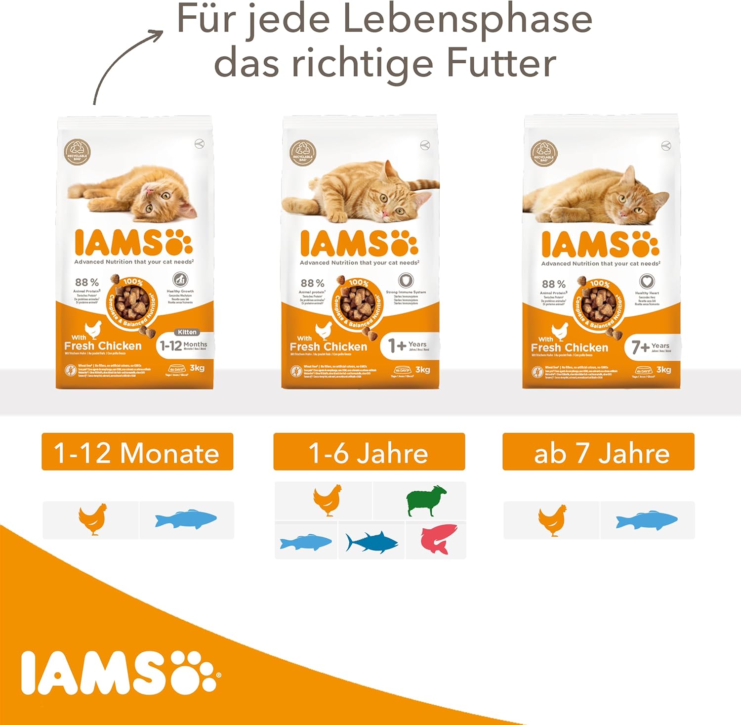 iams katzenfutter trocken mit huhn trockenfutter für katzen im alter von 1 6 jahren, 3 kg iams katzenfutter trocken mit huhn trockenfutter für katzen im alter von 1 6 jahren, 3 kg