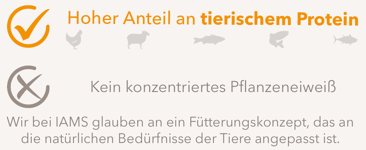 IAMS Katzenfutter trocken mit Huhn - Trockenfutter für Katzen im Alter von 1-6 Jahren, 3 kg iams katzenfutter trocken mit huhn trockenfutter für katzen im alter von 1 6 jahren, 3 kg